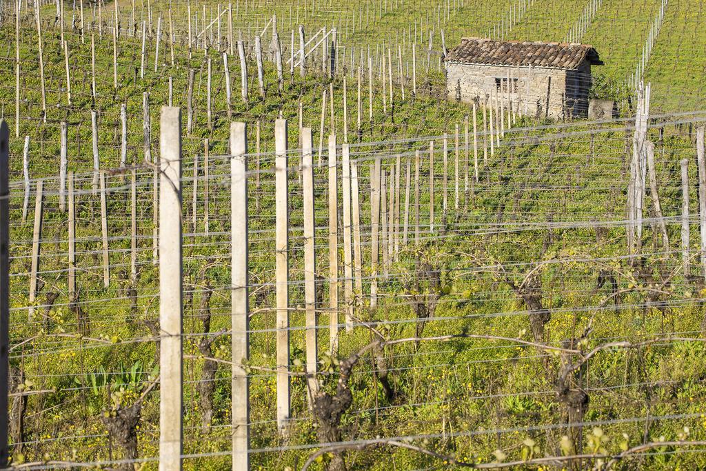 I Tre Poggi Dimora di Charme Villa Canelli Esterno foto