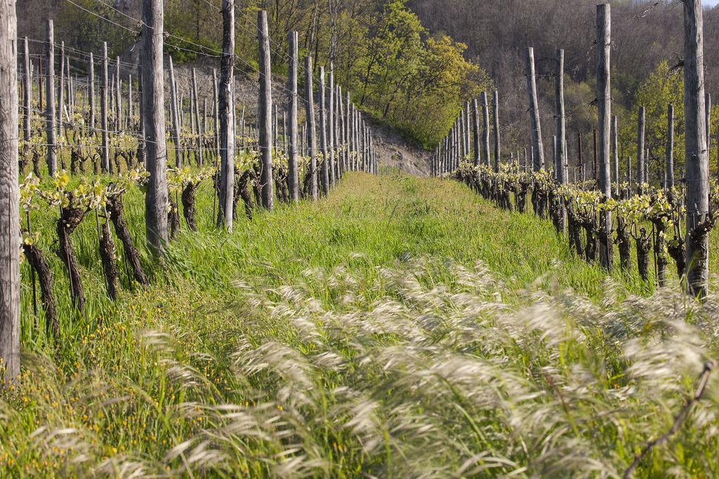 I Tre Poggi Dimora di Charme Villa Canelli Esterno foto