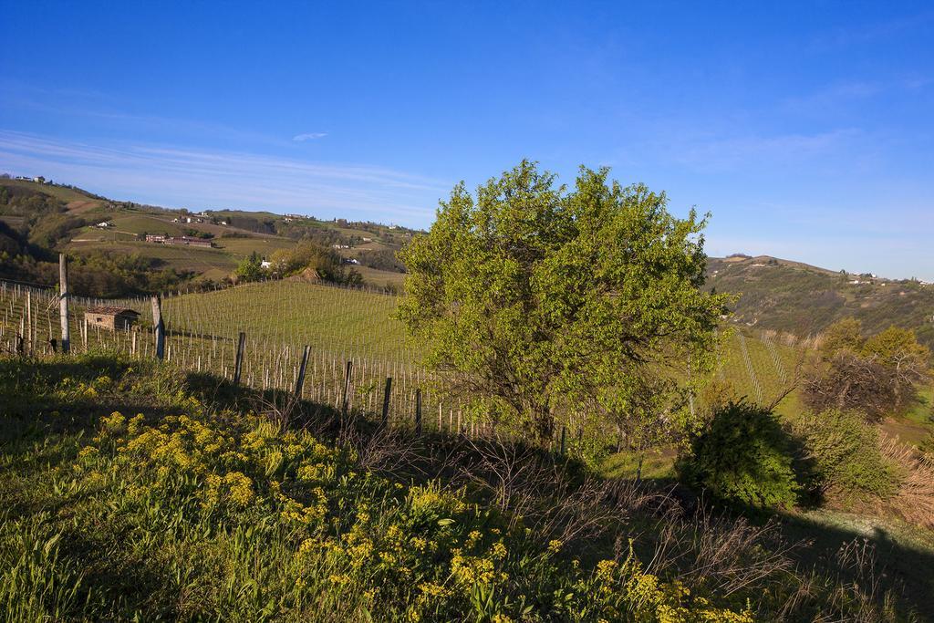 I Tre Poggi Dimora di Charme Villa Canelli Esterno foto