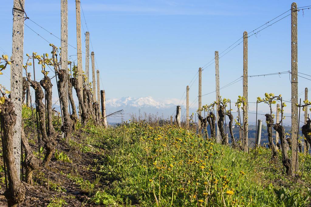 I Tre Poggi Dimora di Charme Villa Canelli Esterno foto