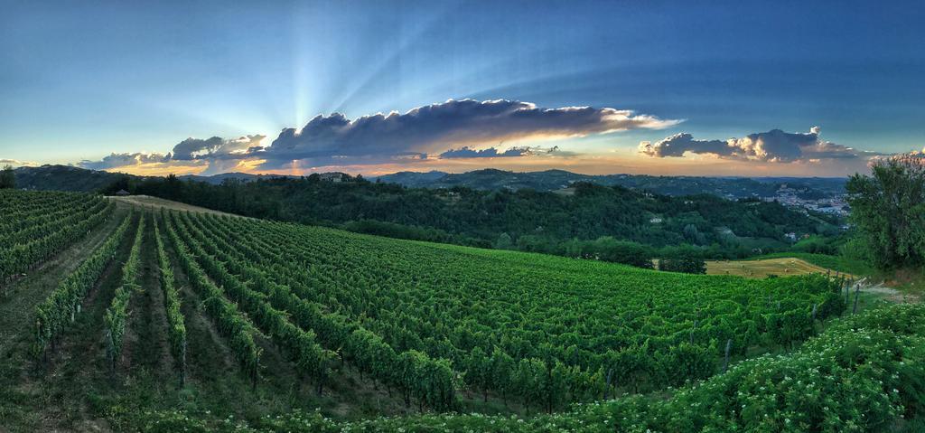 I Tre Poggi Dimora di Charme Villa Canelli Esterno foto